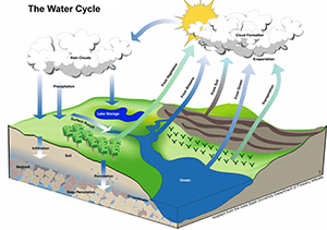 How The Water Cycle Affects Our Weather