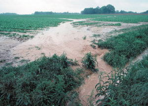 runoff from fields