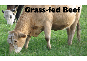 grass fed beef mn